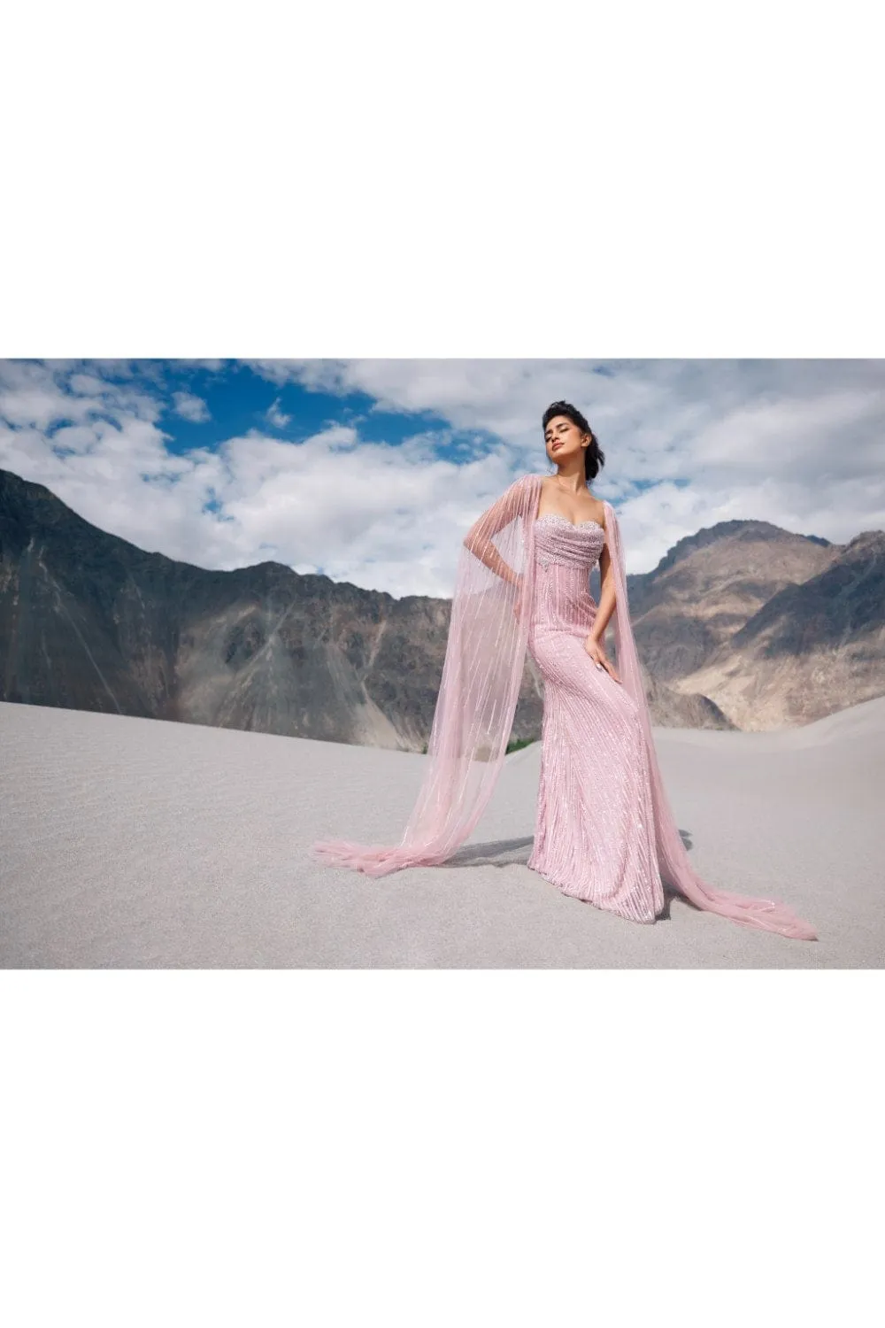 Fresh Pink Wing Sleeves Gown